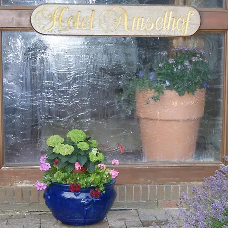 Amselhof 3*