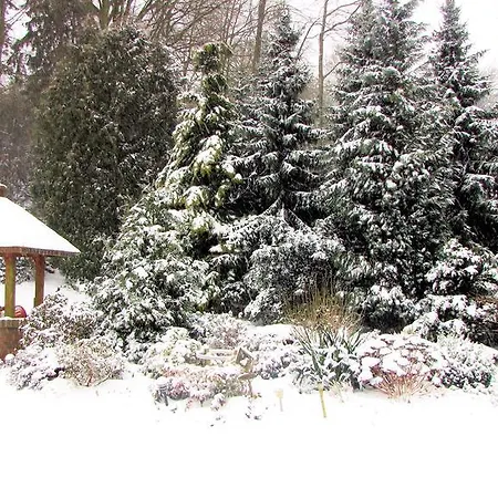 Amselhof 2*