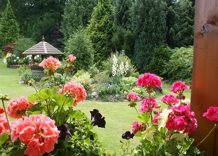 Amselhof Penzion